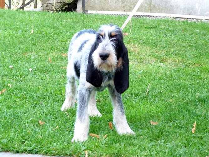 Ikéa du Clos des Lebratieres
